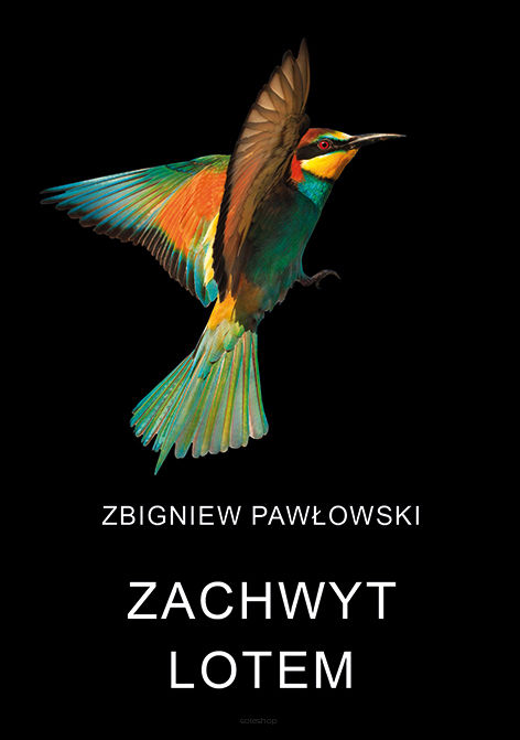 Zbigniew Pawłowski, Zachwyt lotem